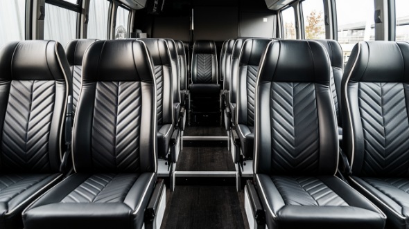 28 passenger minibus rental carlsbad