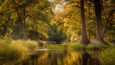 explore elfin forest recreational reserve