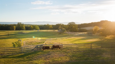 rolling hills ranch