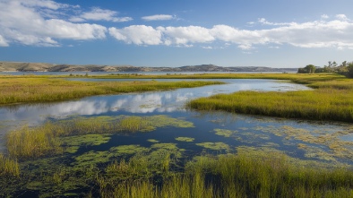 san elijo lagoon ecological reserve and nature center