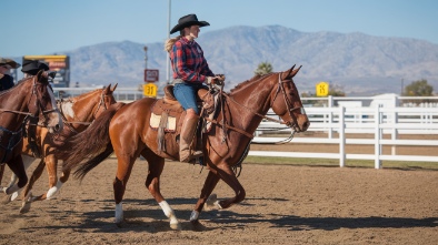 temecula stampede